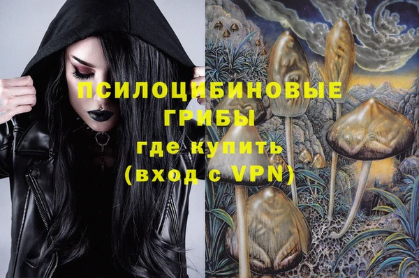 a pvp Алзамай