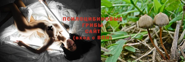 мяу мяу кристалл Алексин